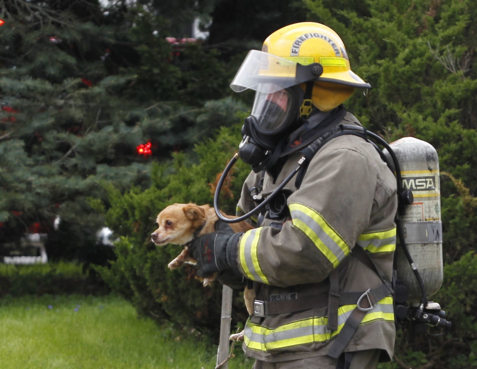 050719jr-lincoln-fire-dogs-1